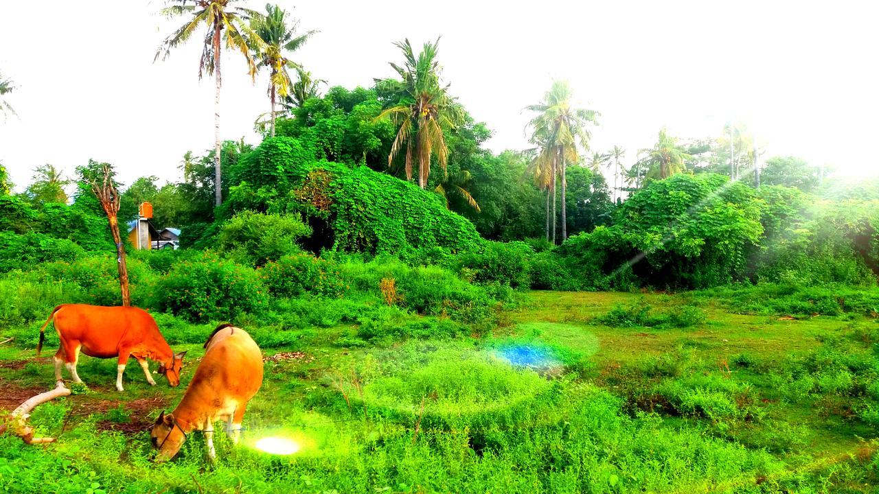 Ofal Lumbung Gili Air Buitenkant foto